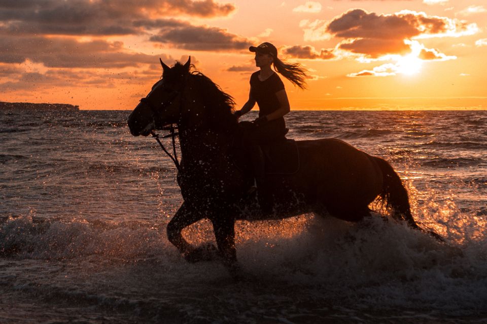 Kos: Horse Riding Experience on the Beach With Instructor - Itinerary and Highlights