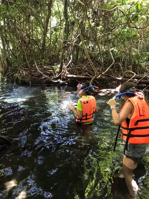 Krabi: Amazon Klong Srakaew Kayaking And Elephant Feeding - Experience Highlights