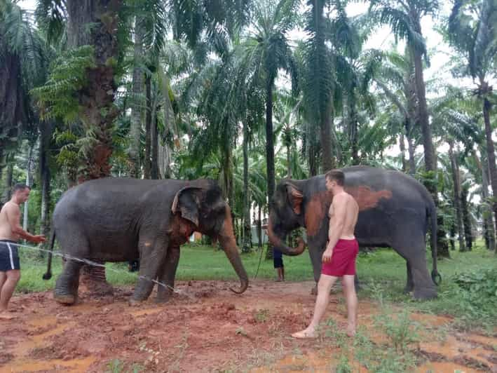 Krabi Elaphant Bathing and Atv Adventure(30min/30min) - Experience Highlights