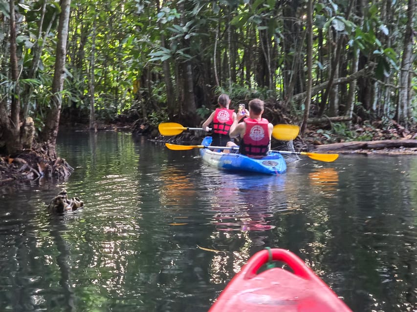 Krabi: Jurassic Jungle Kayak and Phra Nang Cave Beach Tour - Itinerary Highlights