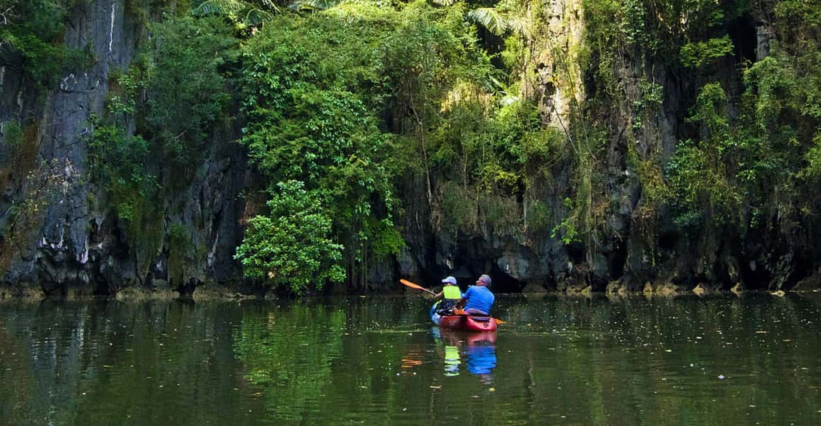 Krabi: Kayak Adventure Through Ao Thalane Mangrove Forest - Experience Highlights