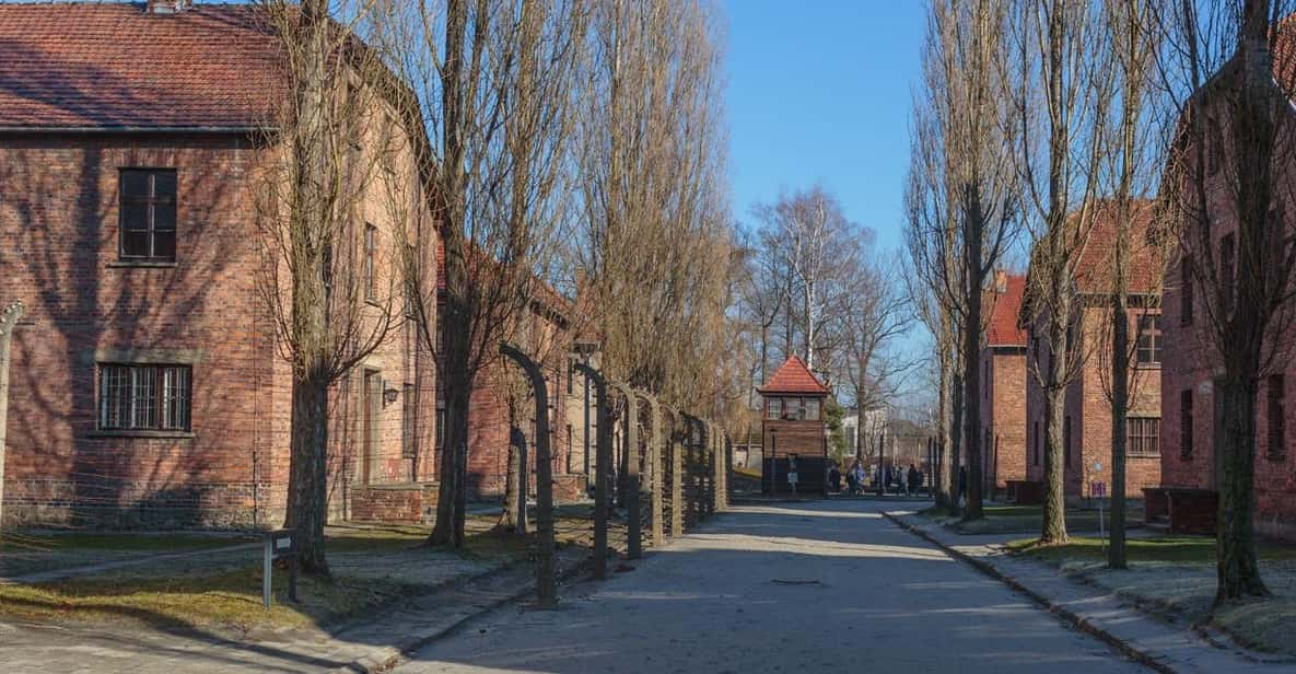 Krakow: Auschwitz-Birkenau Entry Ticket and Transfer - Itinerary and Experience