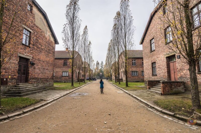 Krakow: Auschwitz-Birkenau Extended Guided Tour & Options - Experience Highlights