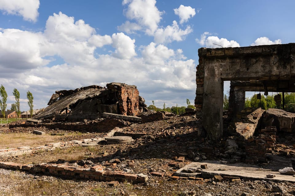 Krakow: Auschwitz-Birkenau Guided Tour With Transfer & Lunch - Itinerary and Experience