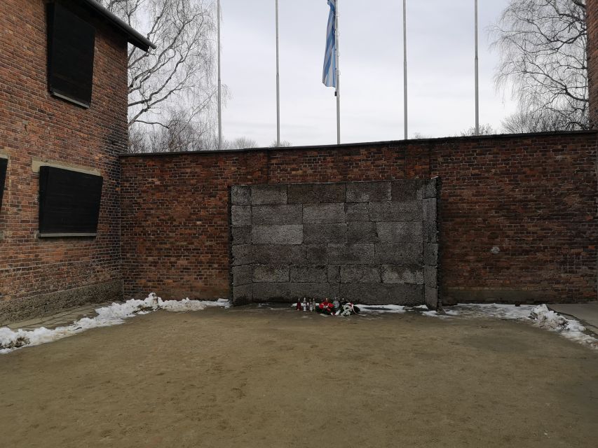 Krakow: Auschwitz-Birkenau Private Chauffeur Service - Transportation Details