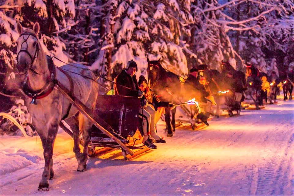 Kraków Frame; Tatra Mountain Sleigh Ride in Zakopane - Sleigh Ride Experience