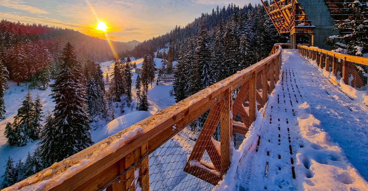 Krakow: Zakopane, Thermal Baths and Gorce Park Treetop Walk - Pricing and Booking Details