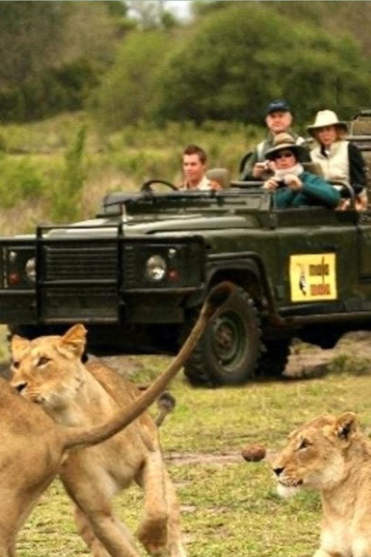 Kruger National Pk 4 Day Safari From Johannesburg & Pretoria - Wildlife Encounters and Activities