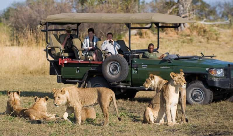 Kruger Park & Blyde River Canyon 4DAY Safari Fr Johannesburg - Safari Experience in Kruger Park