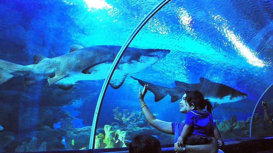 Kuala Lumpur: Aquaria KLCC Entry Ticket - Unique Experience Highlights