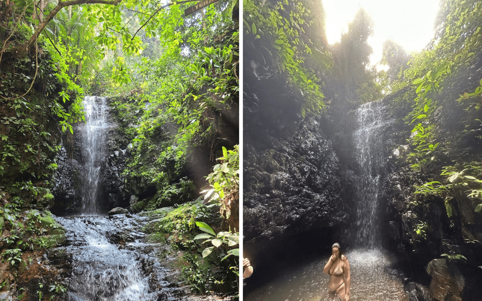 Kuala Lumpur: Taman Negara National Park Teras Waterfall - Pricing Information