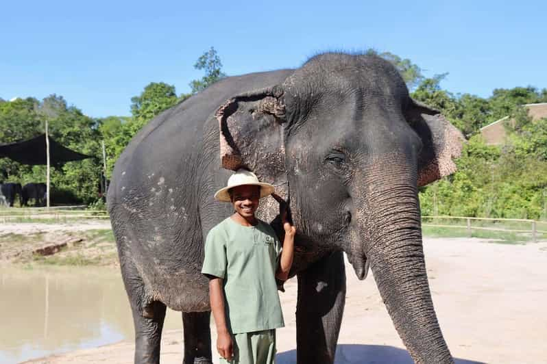 Kulen Elephant Forest and Tonle Sap Lake - Meeting the Elephants