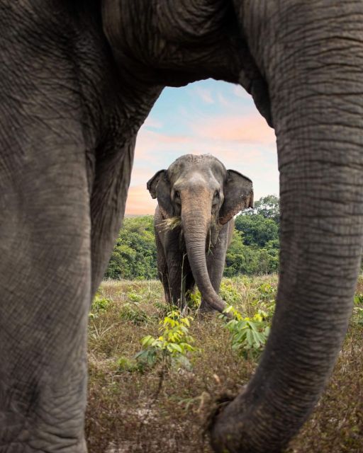 Kulen Elephant Forest and Tonle Sap Lake - Pricing Details