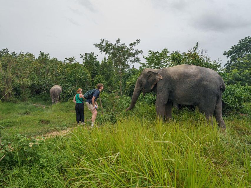 Kulen Elephant Forest Tour With Hotel Pick-Up & Drop off - Itinerary Details