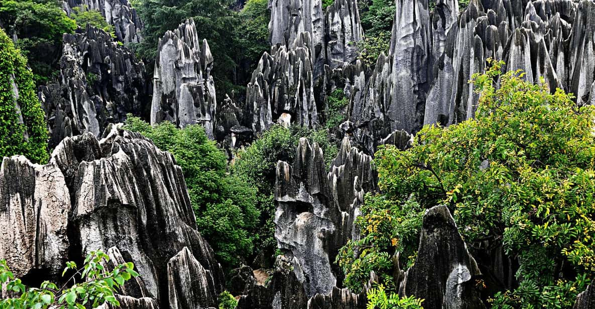 Kunming: Stone Forest and Jiuxiang Cave Day Tour - Itinerary Highlights