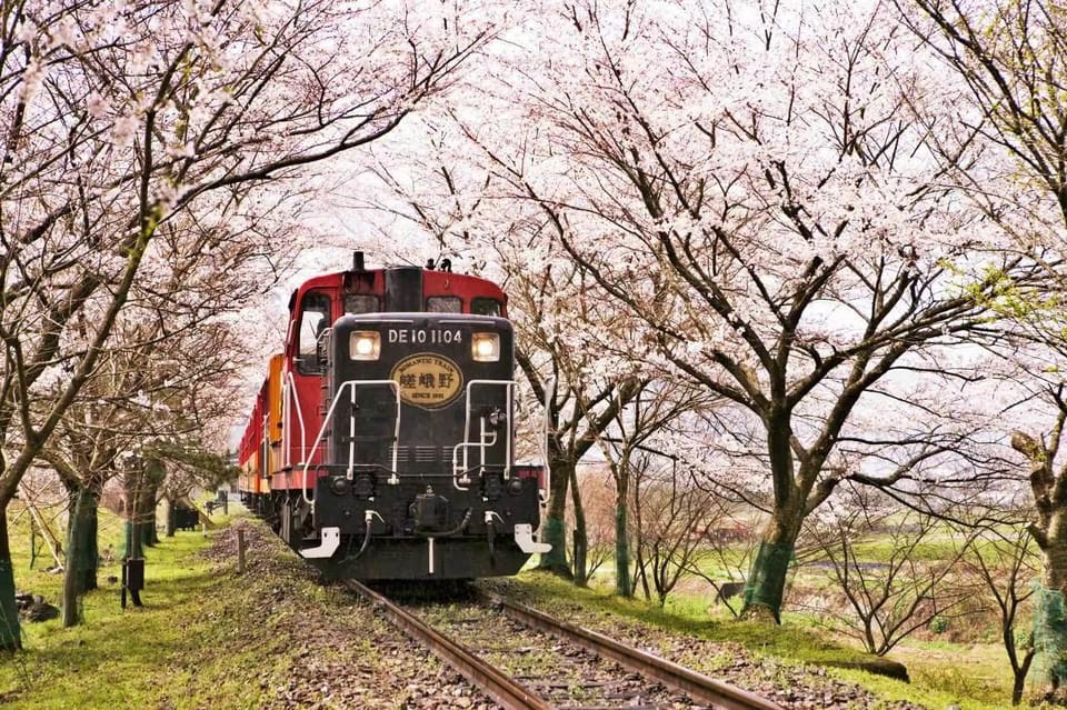 Kyoto: Arashiyama and Sanzen In Temple Day Tour - Important Information