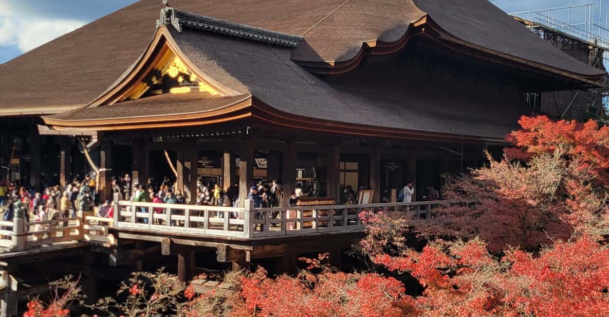 Kyoto Experience With a Local Certified Guide - Guided Experience