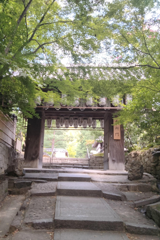 Kyoto: Explore Kodaiji Temple Surrounded by Quaint Gardens - Guided Tour Itinerary