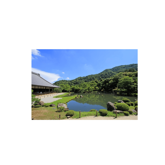 Kyoto: Full Day UNESCO And Historical Sites Private Car Tour - Transportation and Amenities