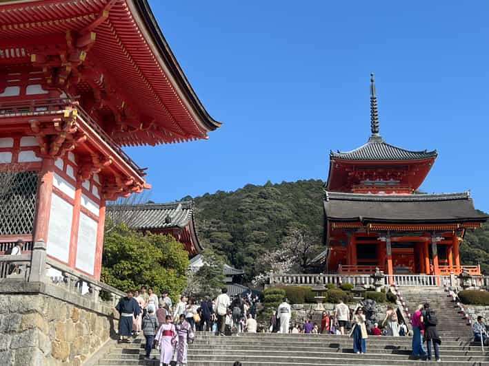 Kyoto-Nara - See the Best in One Day! - Transportation Options