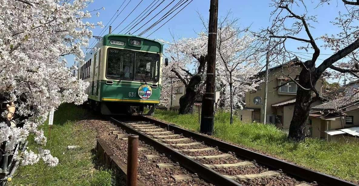 Kyoto/Osaka: Sanzen-in and Arashiyama Day Trip - Highlights of the Trip