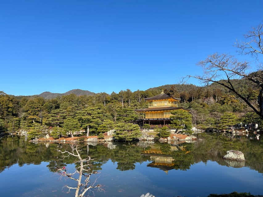 Kyoto Private Car Tour With Japanese&Local Guide - Unique Tour Experiences