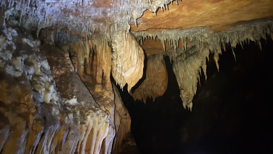 La Ciotat: Caving in Calanques National Park Half-Day Tour - Activity Summary