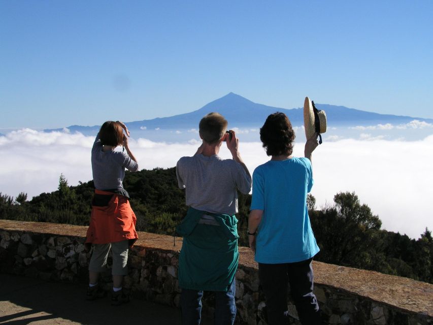 La Gomera: the Rain Forest (National Park) - Itinerary and Tour Details