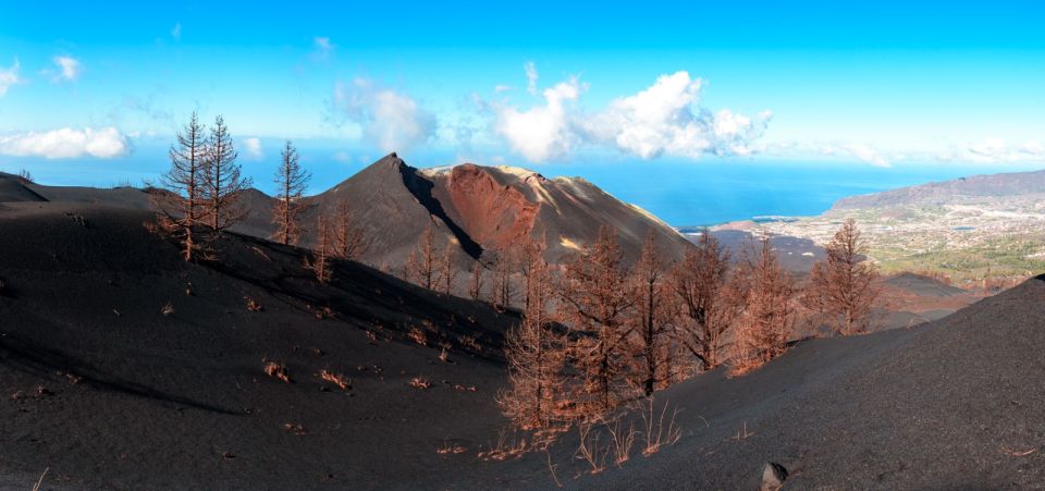 La Palma: Guided Tour to Tajogaite Volcano With Transfer - Itinerary and Highlights