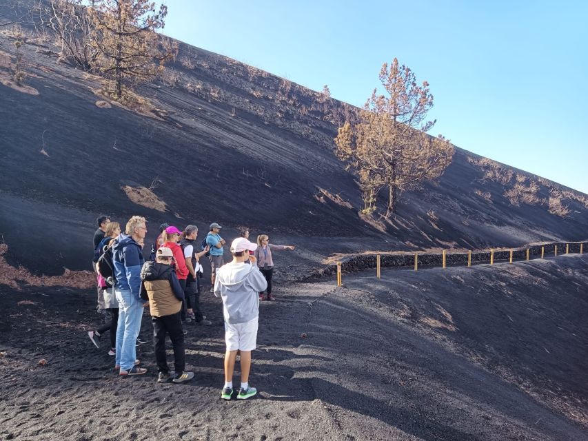 La Palma: Tajogaite Volcano Guided Hike - Geological Wonders