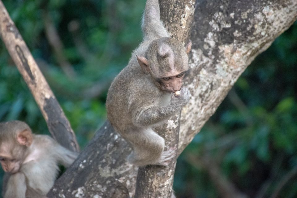 Lagoon Tour to Monkey Island in Negombo - Location and Accessibility