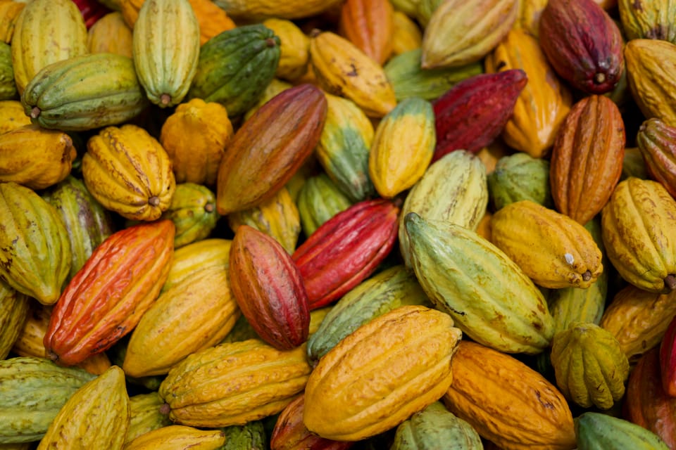 Lahaina: Maui Kuia Estate Guided Cacao Farm Tour & Tasting - Itinerary and Activities