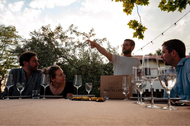 Lake Garda: Vineyard Tour and Tasting on the Hills - Winerys Legacy and Traditions