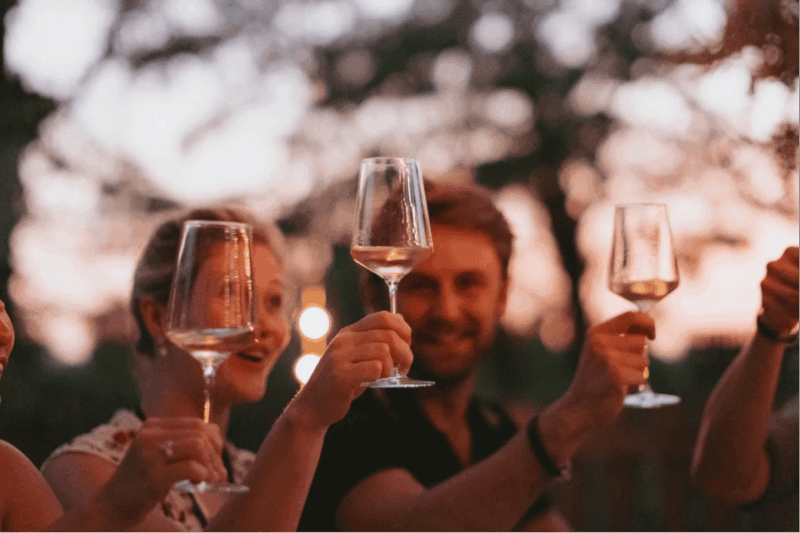 Lake Garda: Vineyard Tour and Tasting on the Hills - Wine Tasting Experience