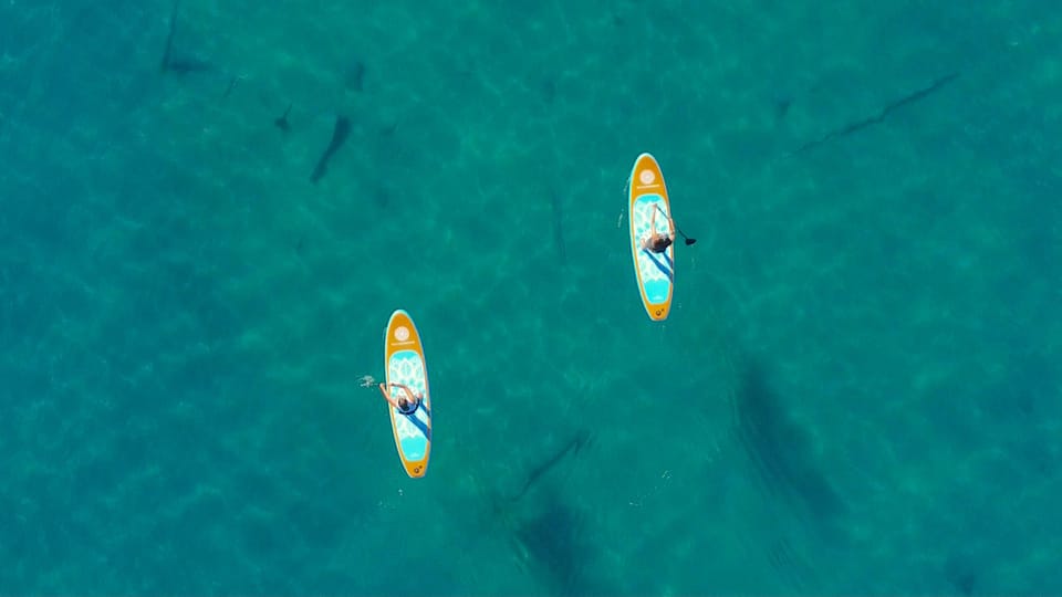 Lake Mead: Paddle Board (Sup) Rentals Near Las Vegas - Location and Meeting Point