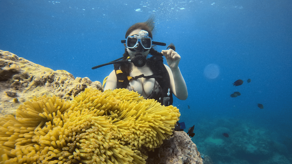 Land Tour With Scuba Diving and Paraw Sailing - Frequently Asked Questions