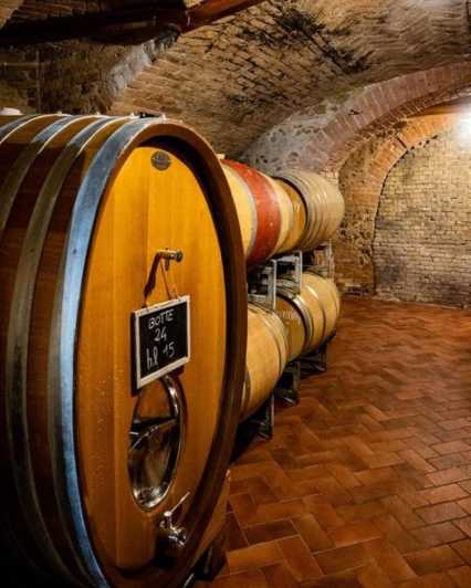 Langhe Wine Tour With a Winemaker - Itinerary Highlights