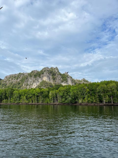 Langkawi: Half-Day Private Kilim River Mangrove Boat Tour - Itinerary and Activities