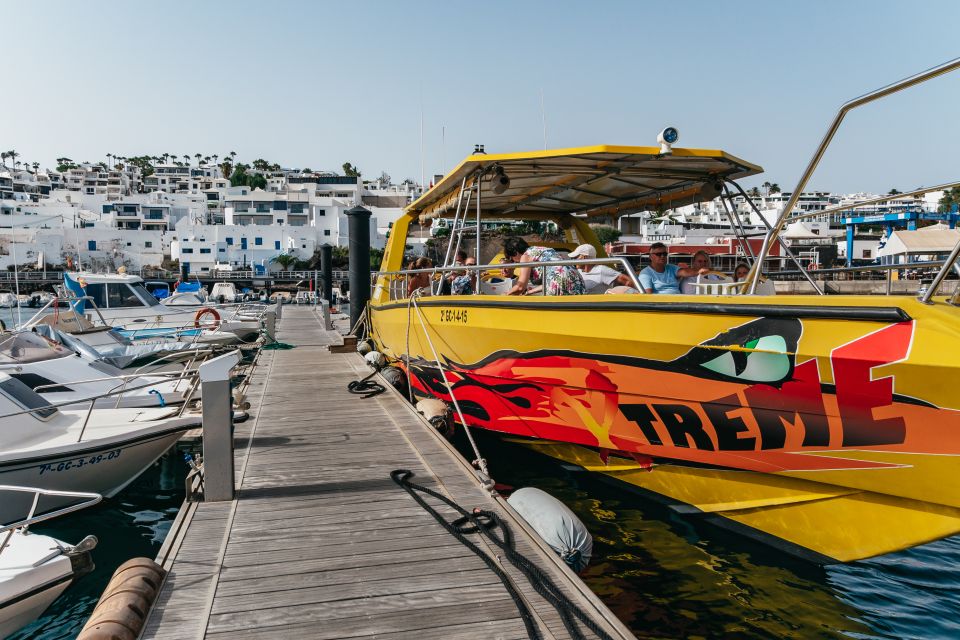 Lanzarote: 2.5-Hour Sunset and Dolphins Cruise - Experience Highlights