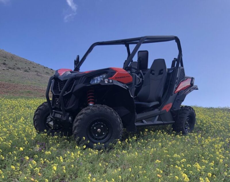 Lanzarote: Guided Can-Am Trail Buggy Tour - Activity Details