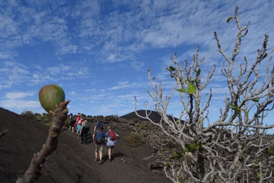 Lanzarote: Hike Across Timanfaya's Volcanic Landscapes - Hiking Across Lava Fields