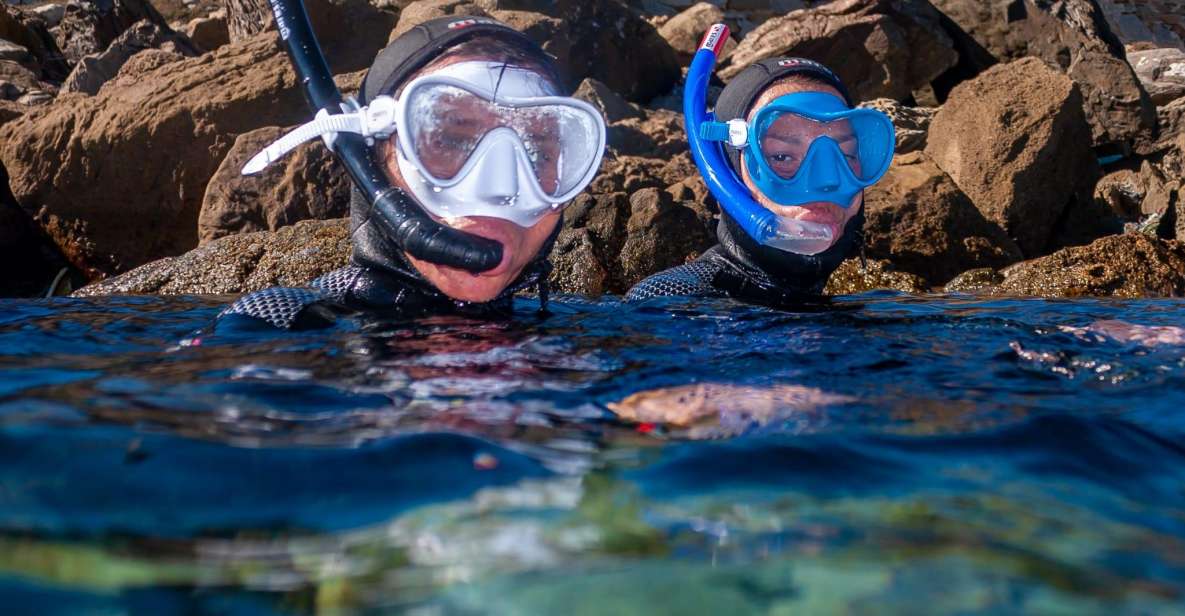 Lanzarote: Snorkel Guided Tour in Papagayo. - Booking and Payment Details