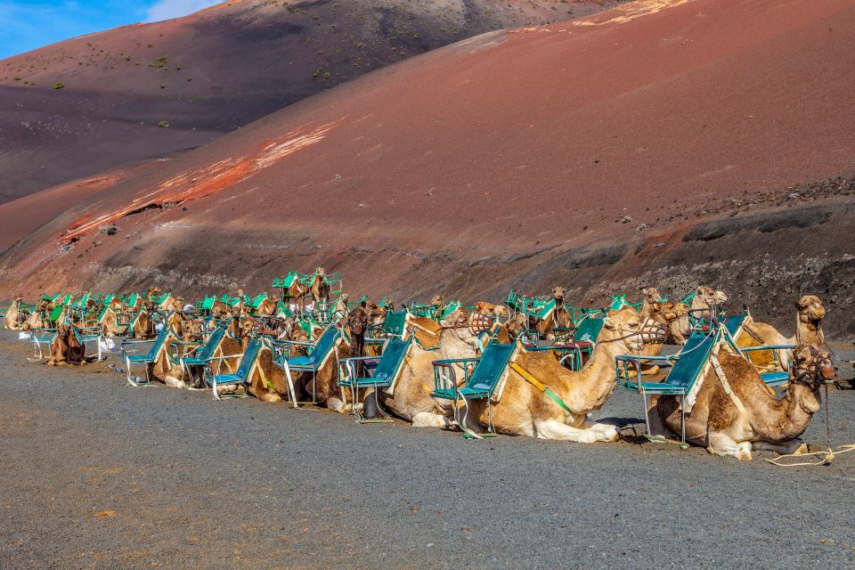 Lanzarote: Volcanos of Timanfaya and Caves Tour With Lunch - Itinerary Highlights