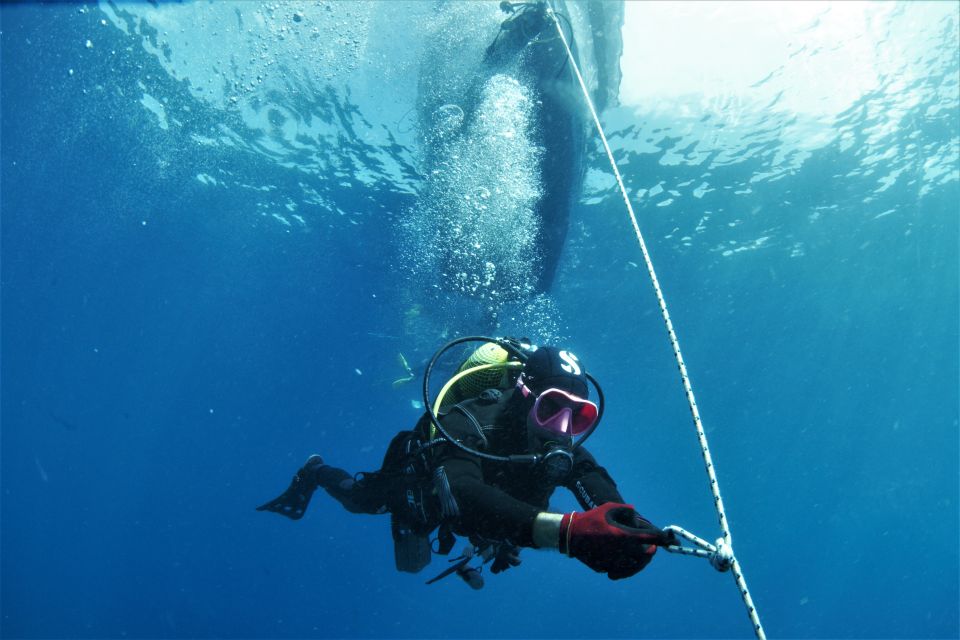 Las Palmas: 2-Day Padi Scuba Diving Course - Certification and Credentials