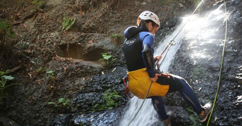 Las Palmas, Gran Canaria: Canyoning Adventure - Experience Highlights
