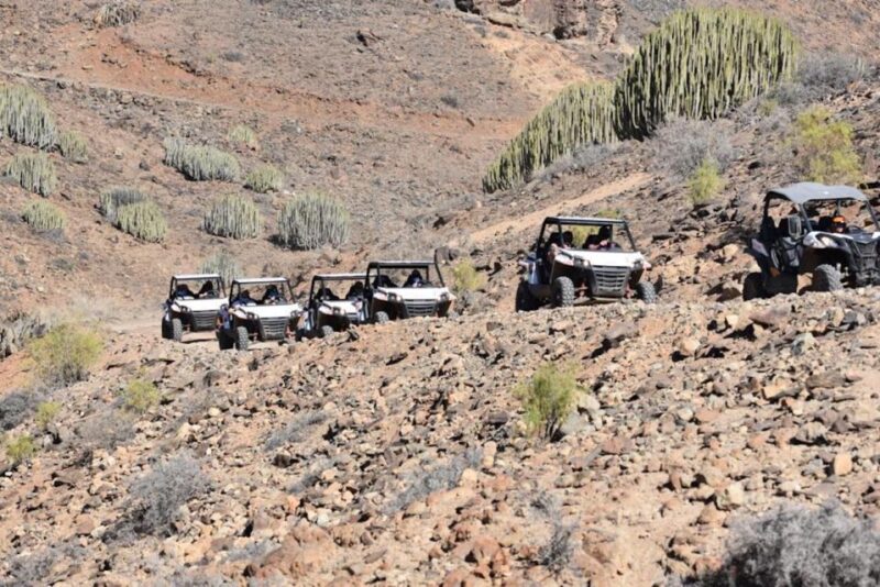 Las Palmas: Gran Canaria Guided Buggy Tour - Activity Highlights