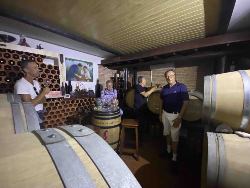 Las Palmas: Gran Canaria's Best Wineries and Views Tour - Experience and Itinerary