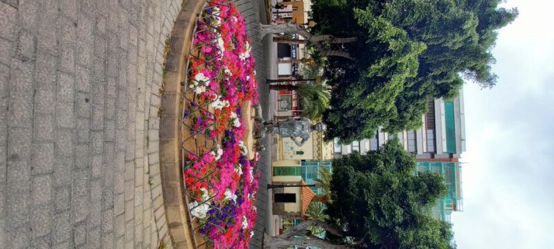 Las Palmas: Private City Highlights & Northern Villages Tour - Itinerary Highlights