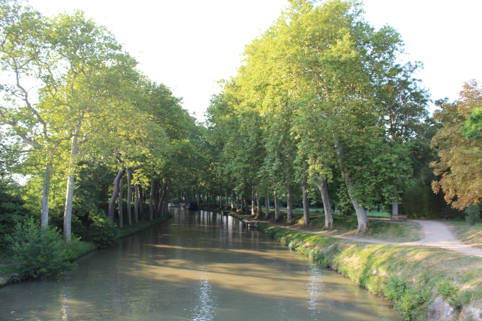 Lastours, Vineyard, Minerve, Canal Du Midi From Carcassonne - Lastours Castles Experience