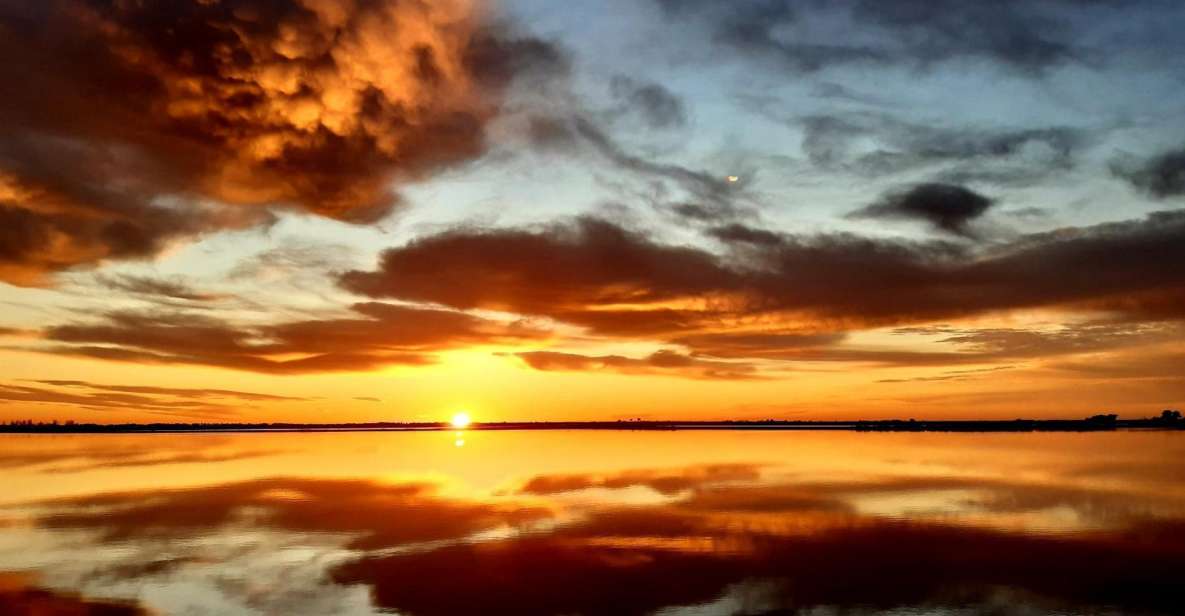 Le Grau Du Roi: Half-Day Tour of Camargue - Highlights of the Experience